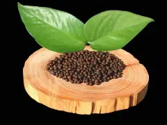 嘆指廓y??{镰粕P煆"U#8R惌%PvB??豤M誆?iwi*U8f莗黤?鏱肶柫霔C╖a摞骘俭憝?妪的简单介绍-开云入口平台